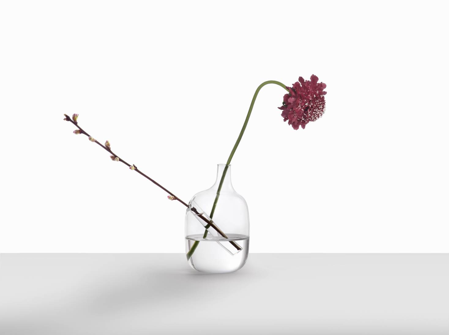 Ichendorf Spring Picks