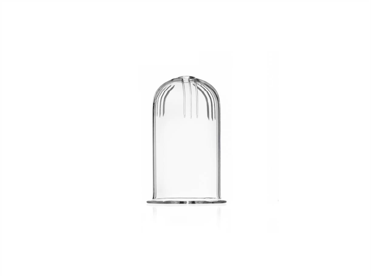 Filter For Thermic 2cups Teapot