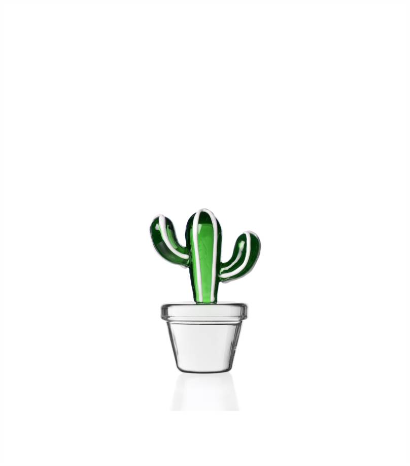 Fermacarte cactus verde
