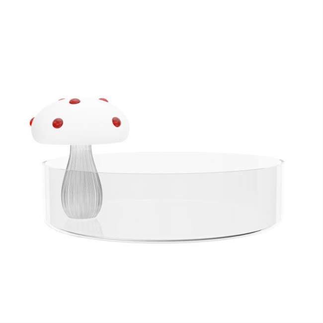Saucer White mushroom with red dots