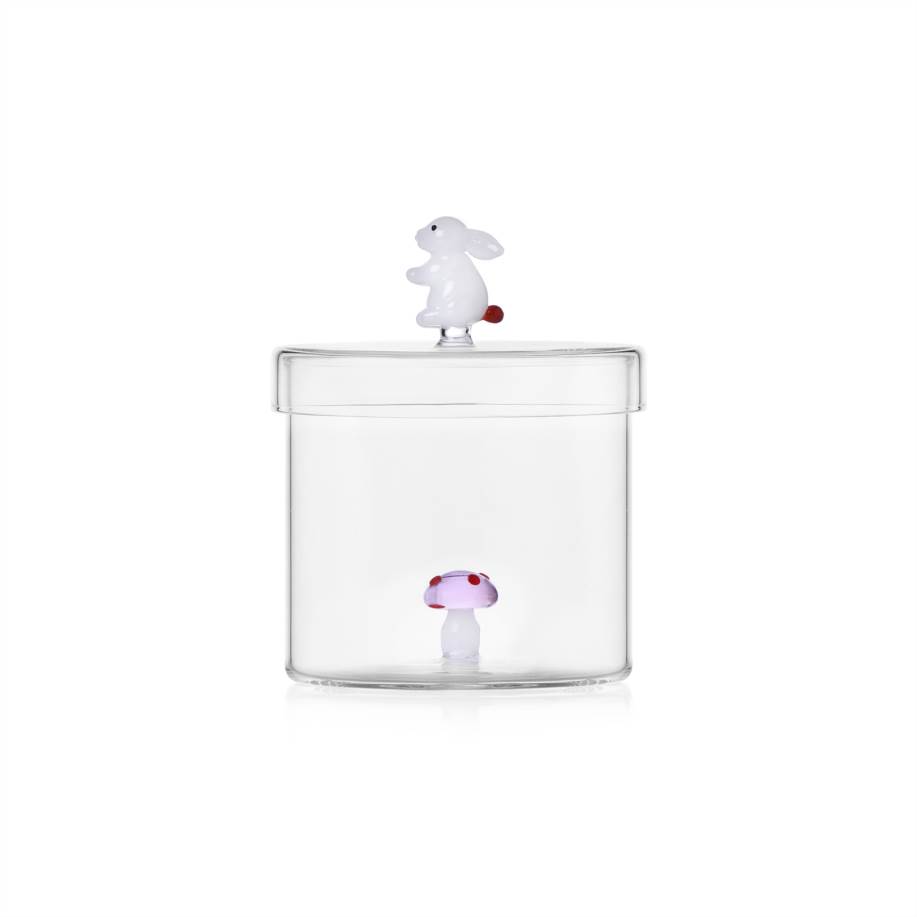 Box Pink mushroom & White rabbit