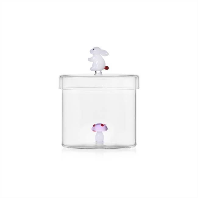 Box Pink mushroom & White rabbit