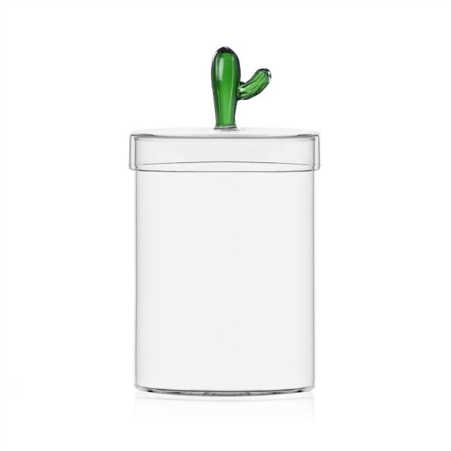 Scatola cactus verde