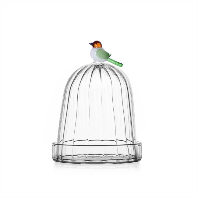 Optic dome with dish Bird diam 11cm