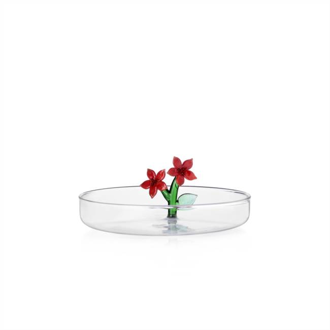 Saucer Christmas red stars 