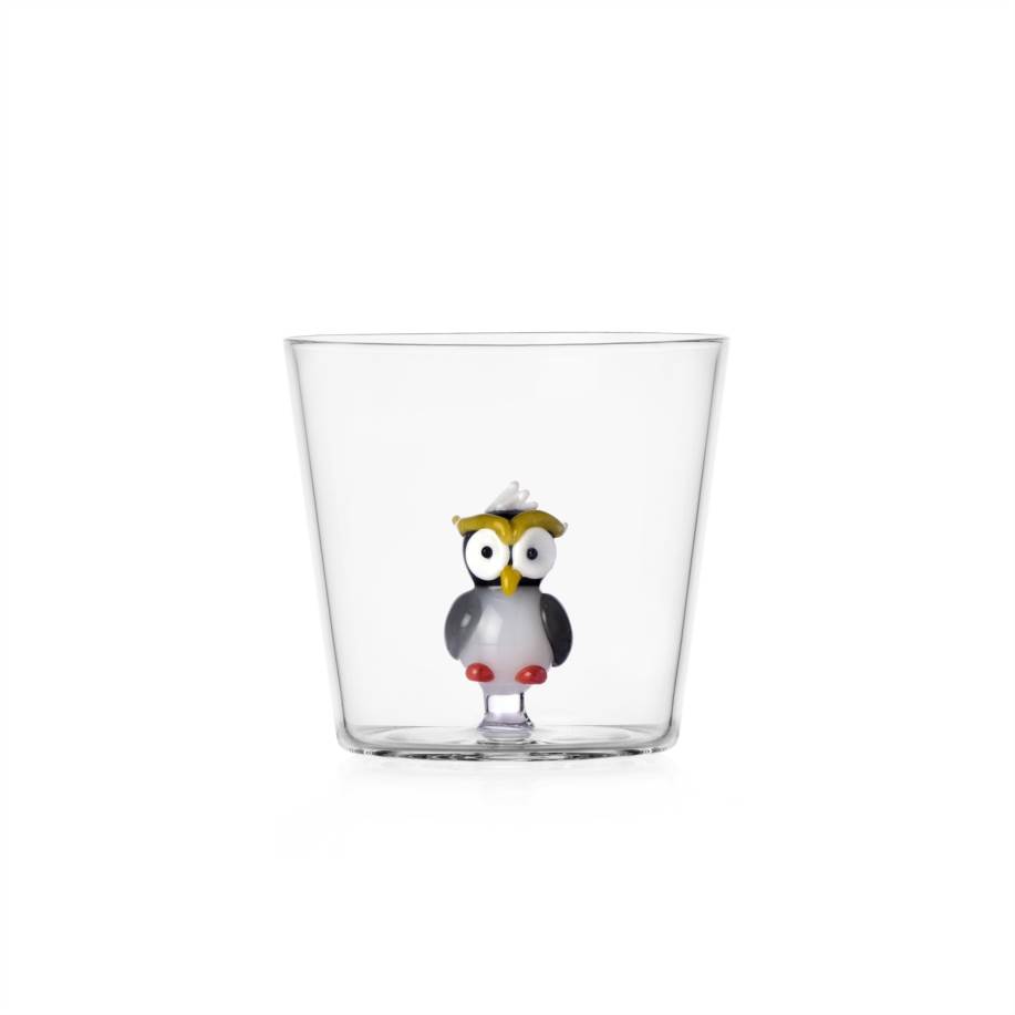 Tumbler coloured owl