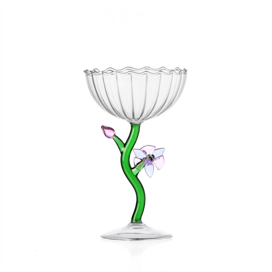 Coppa champagne orchidea