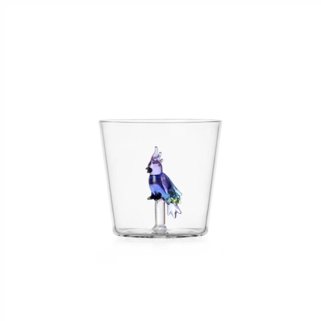 Tumbler cacatua blu